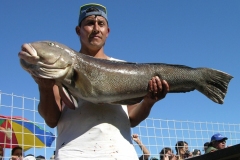 Fiesta nacional del salmón.