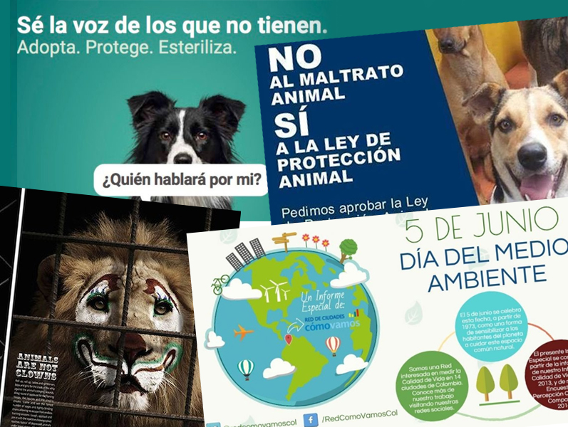 campañas de cuidado ambiente y animal